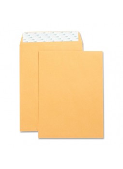 Envelopes Catalog - 9" x 12" - 28 lb - Self-sealing - Kraft - 250/Box - Brown Kraft - bsn42120